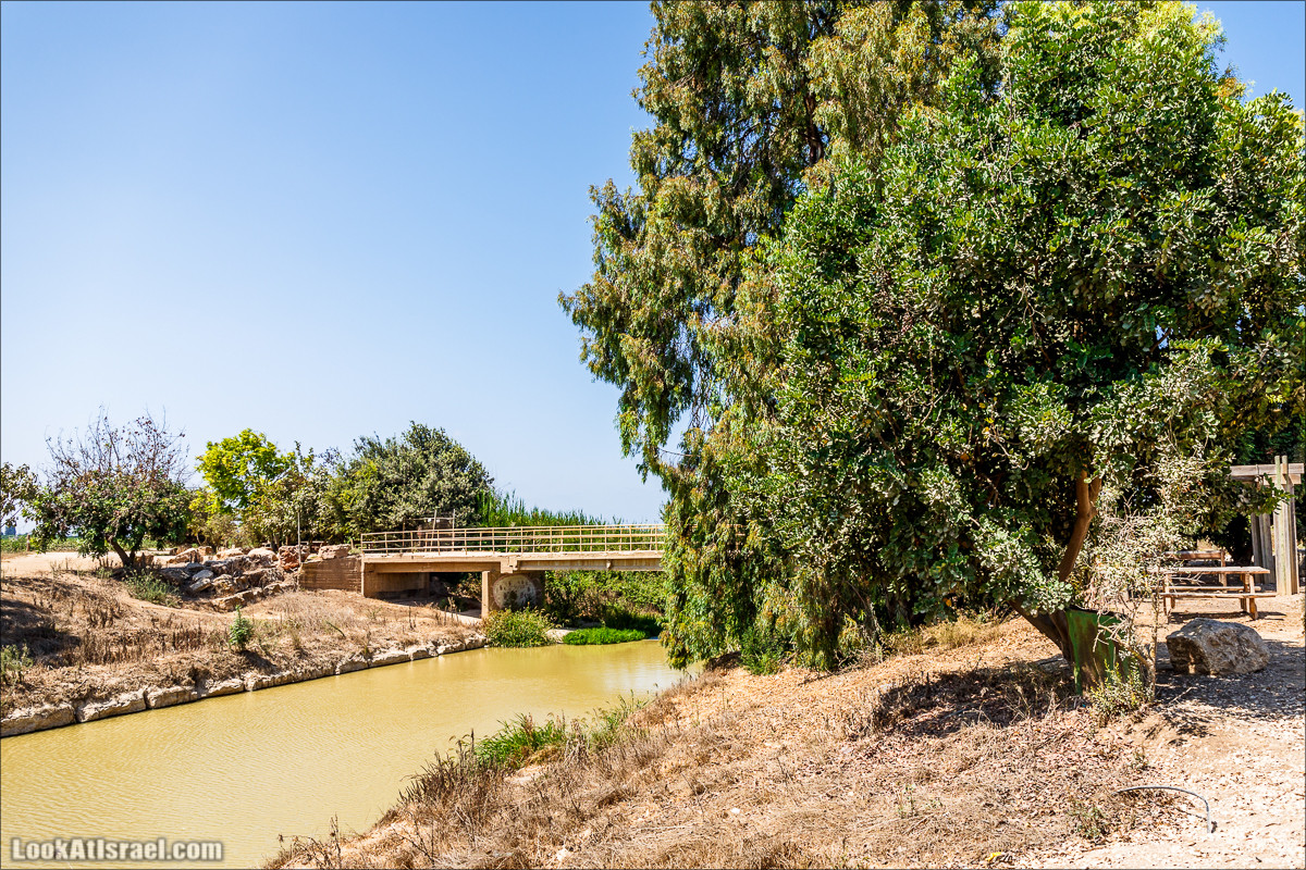 Ручей Александр, черепахи, природа и бездорожье | LookAtIsrael.com - Фото путешествия по Израилю