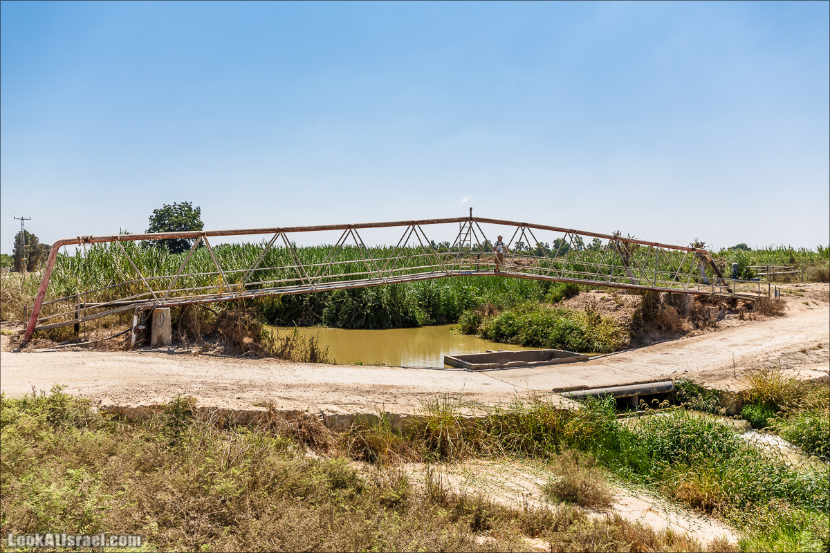 Ручей Александр, черепахи, природа и бездорожье | LookAtIsrael.com - Фото путешествия по Израилю