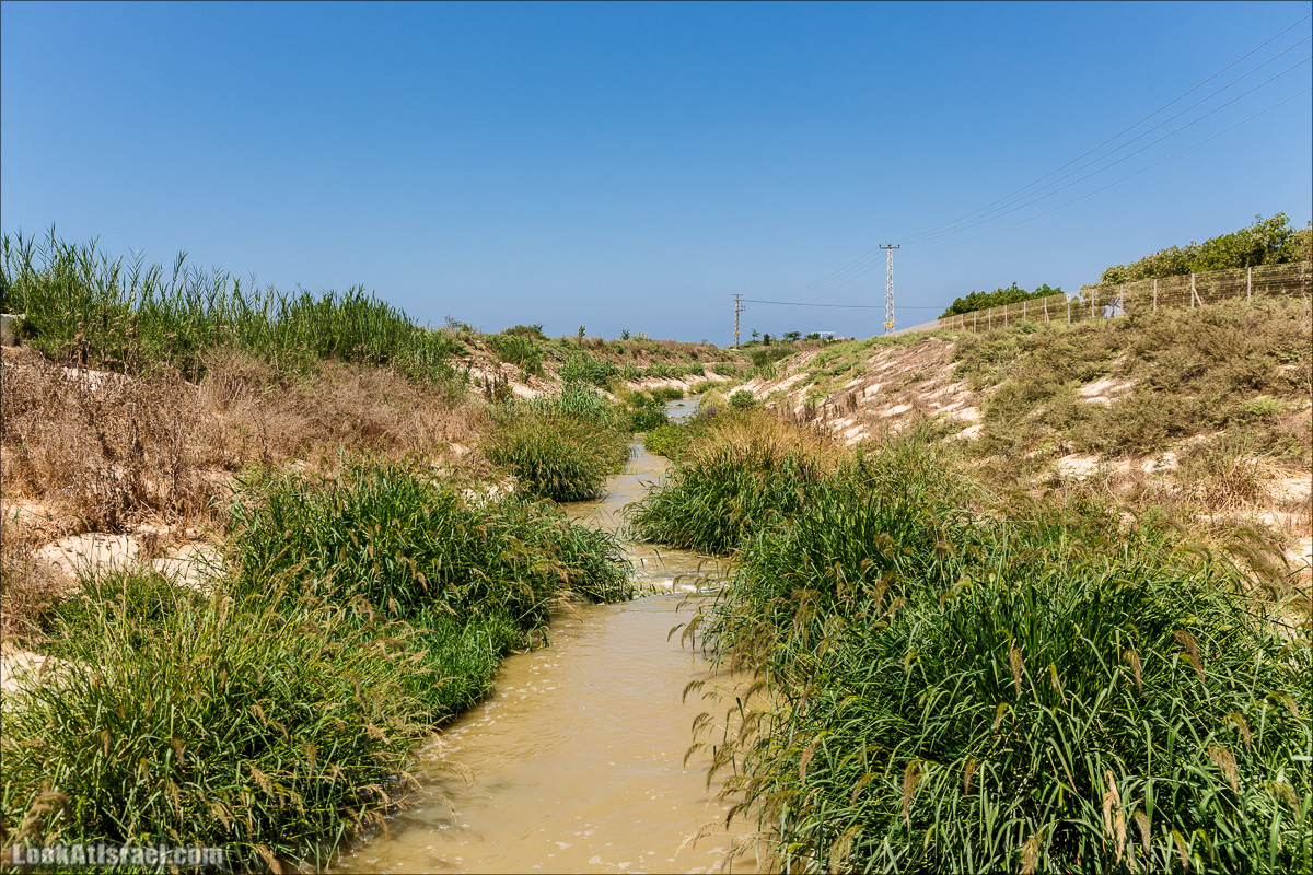 Ручей Александр, черепахи, природа и бездорожье | LookAtIsrael.com - Фото путешествия по Израилю