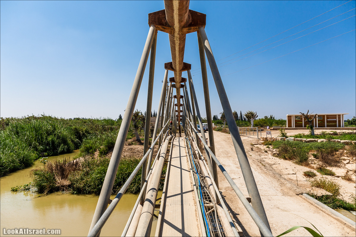 Ручей Александр, черепахи, природа и бездорожье | LookAtIsrael.com - Фото путешествия по Израилю