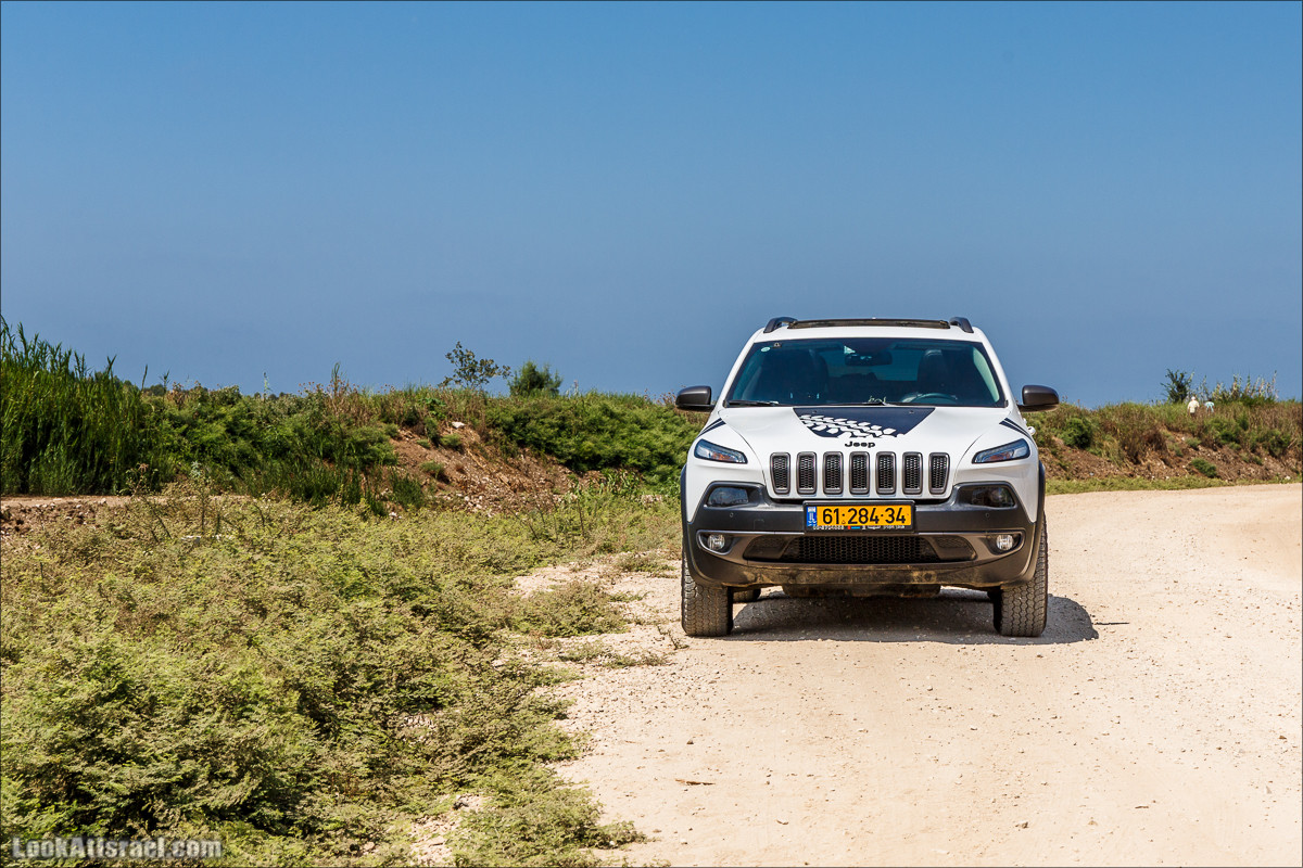 Ручей Александр, черепахи, природа и бездорожье | LookAtIsrael.com - Фото путешествия по Израилю