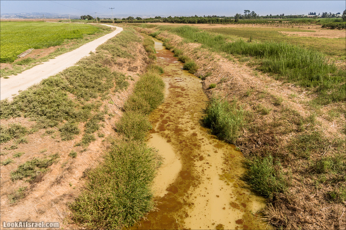 Ручей Александр, черепахи, природа и бездорожье | LookAtIsrael.com - Фото путешествия по Израилю