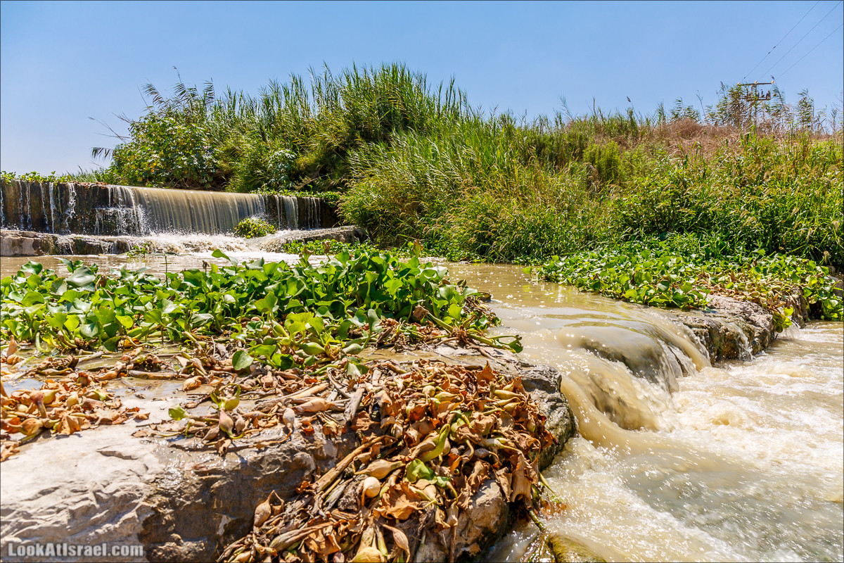Ручей Александр, черепахи, природа и бездорожье | LookAtIsrael.com - Фото путешествия по Израилю