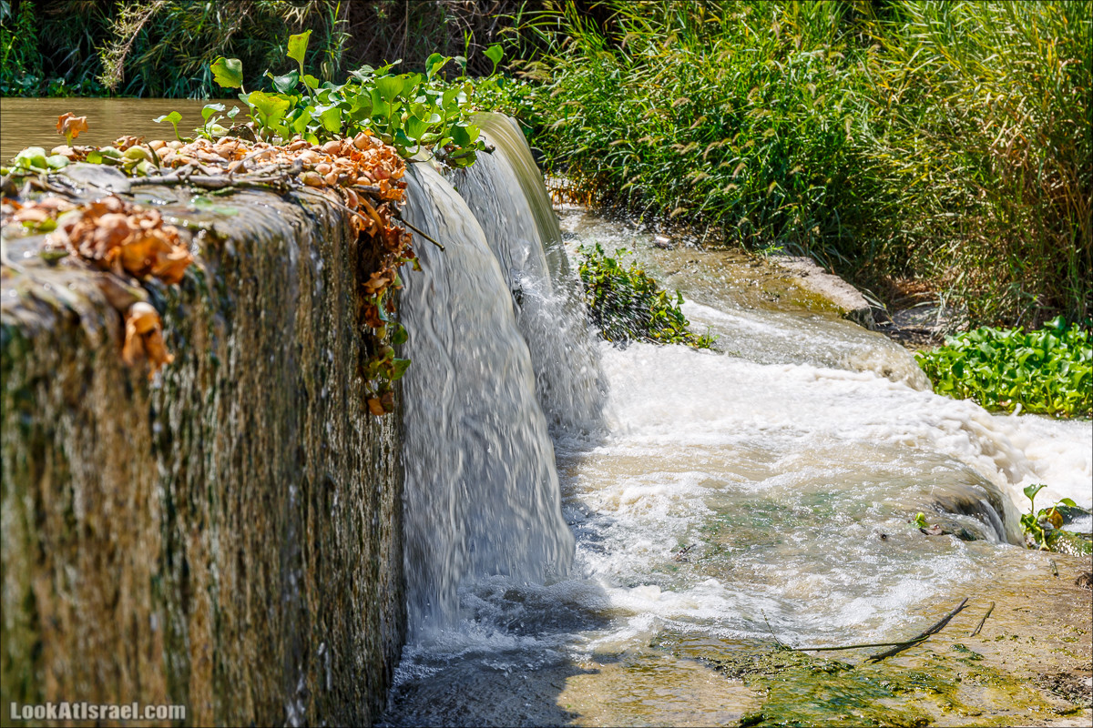 Ручей Александр, черепахи, природа и бездорожье | LookAtIsrael.com - Фото путешествия по Израилю