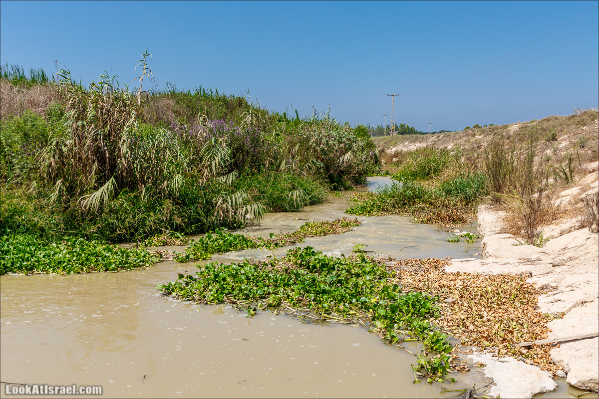 Ручей Александр, черепахи, природа и бездорожье | LookAtIsrael.com - Фото путешествия по Израилю