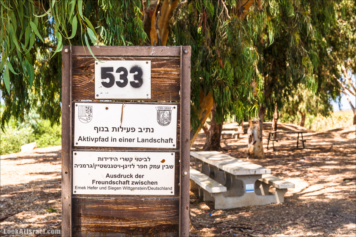 Ручей Александр, черепахи, природа и бездорожье | LookAtIsrael.com - Фото путешествия по Израилю