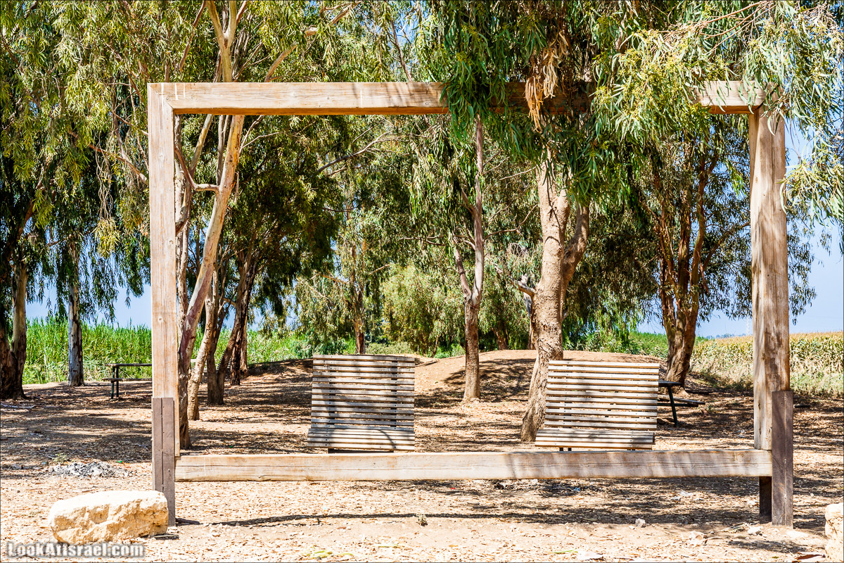 Ручей Александр, черепахи, природа и бездорожье | LookAtIsrael.com - Фото путешествия по Израилю