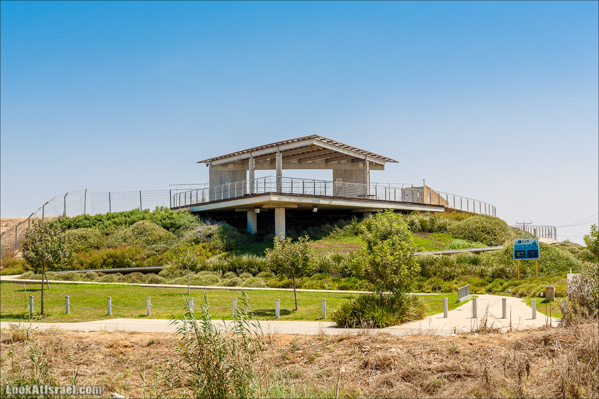 Ручей Александр, черепахи, природа и бездорожье | LookAtIsrael.com - Фото путешествия по Израилю