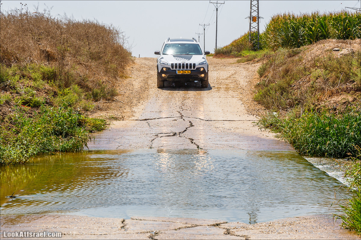 Ручей Александр, черепахи, природа и бездорожье | LookAtIsrael.com - Фото путешествия по Израилю