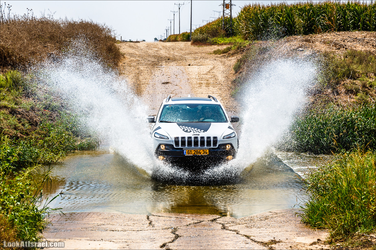 Ручей Александр, черепахи, природа и бездорожье | LookAtIsrael.com - Фото путешествия по Израилю