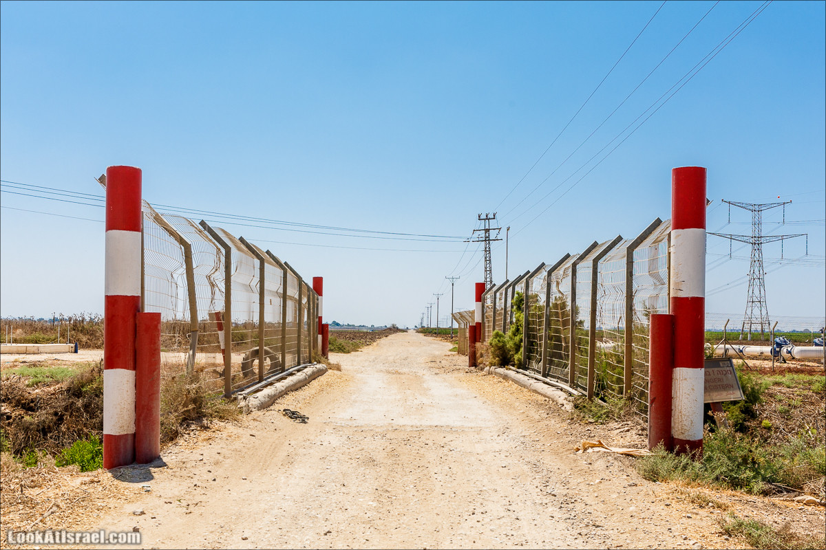 Ручей Александр, черепахи, природа и бездорожье | LookAtIsrael.com - Фото путешествия по Израилю