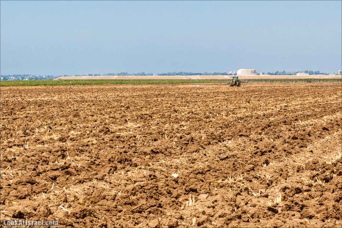 Ручей Александр, черепахи, природа и бездорожье | LookAtIsrael.com - Фото путешествия по Израилю