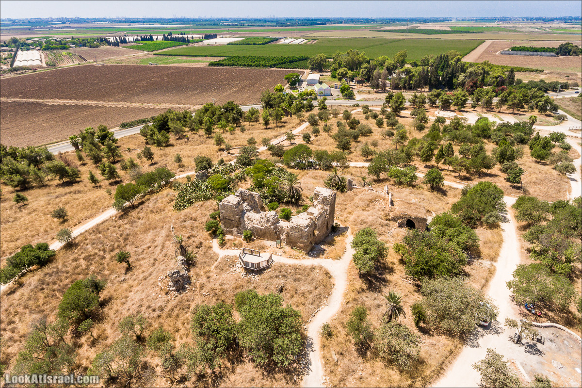 Ручей Александр, черепахи, природа и бездорожье | LookAtIsrael.com - Фото путешествия по Израилю