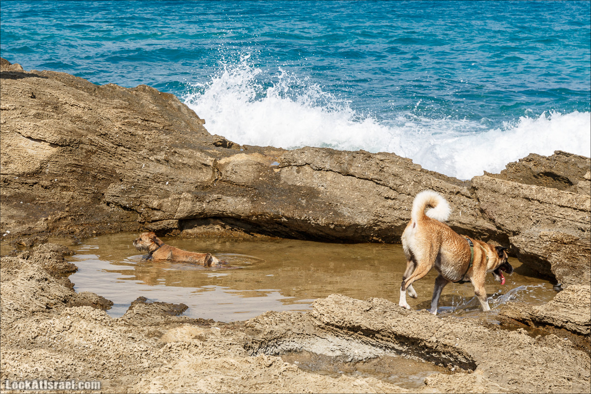 Побережье Дор а-Боним | Dor ha-Bonim Coast | חוף דור הבונים | LookAtIsrael.com - Фото путешествия по Израилю