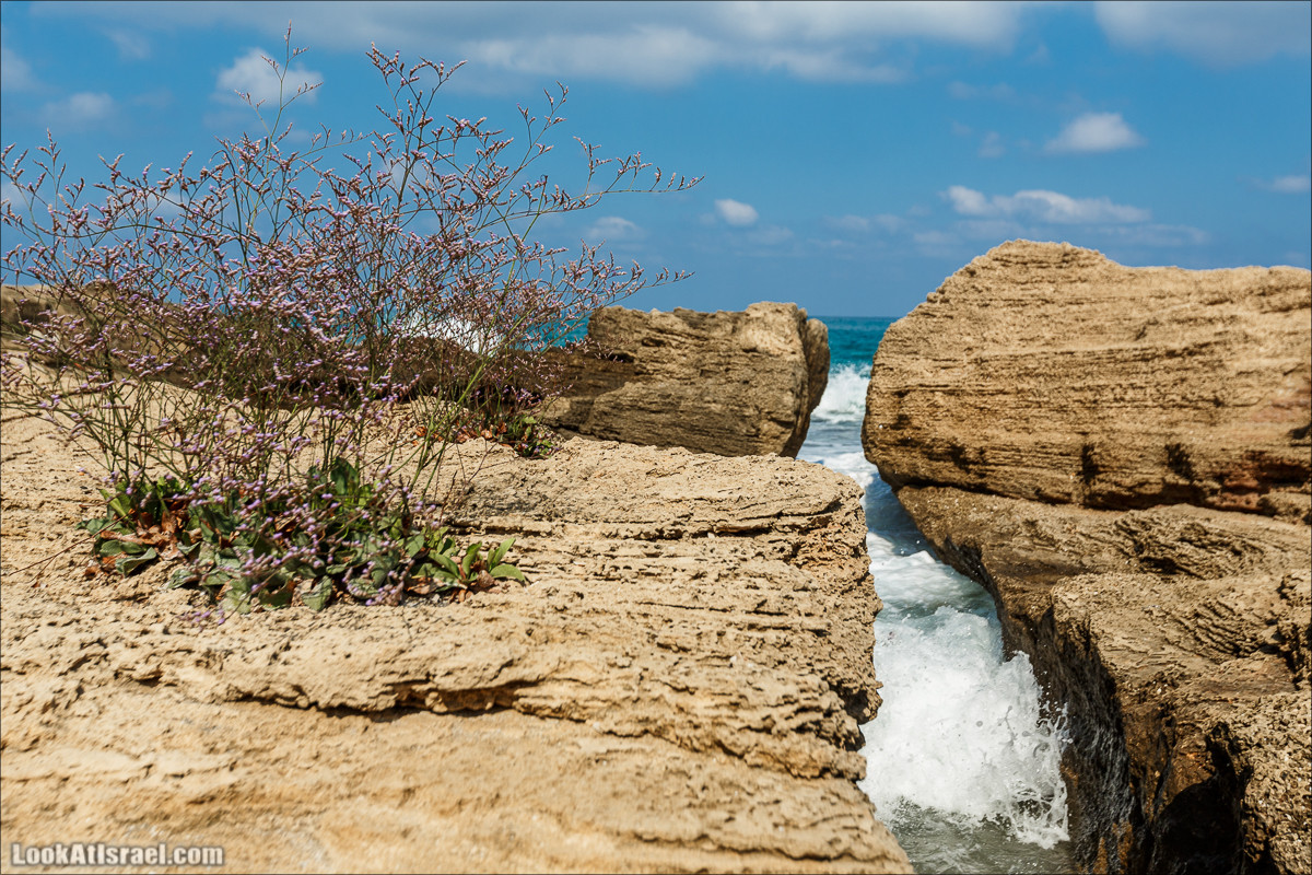 Побережье Дор а-Боним | Dor ha-Bonim Coast | חוף דור הבונים | LookAtIsrael.com - Фото путешествия по Израилю