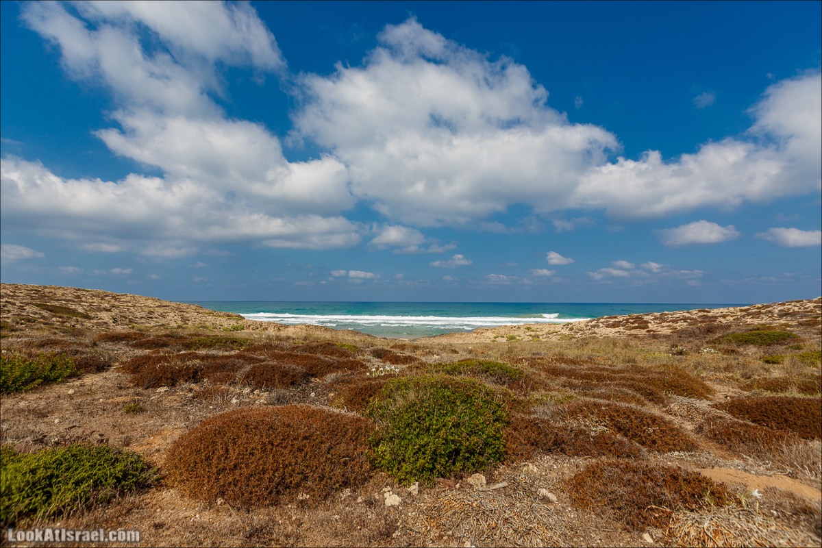 Побережье Дор а-Боним | Dor ha-Bonim Coast | חוף דור הבונים | LookAtIsrael.com - Фото путешествия по Израилю