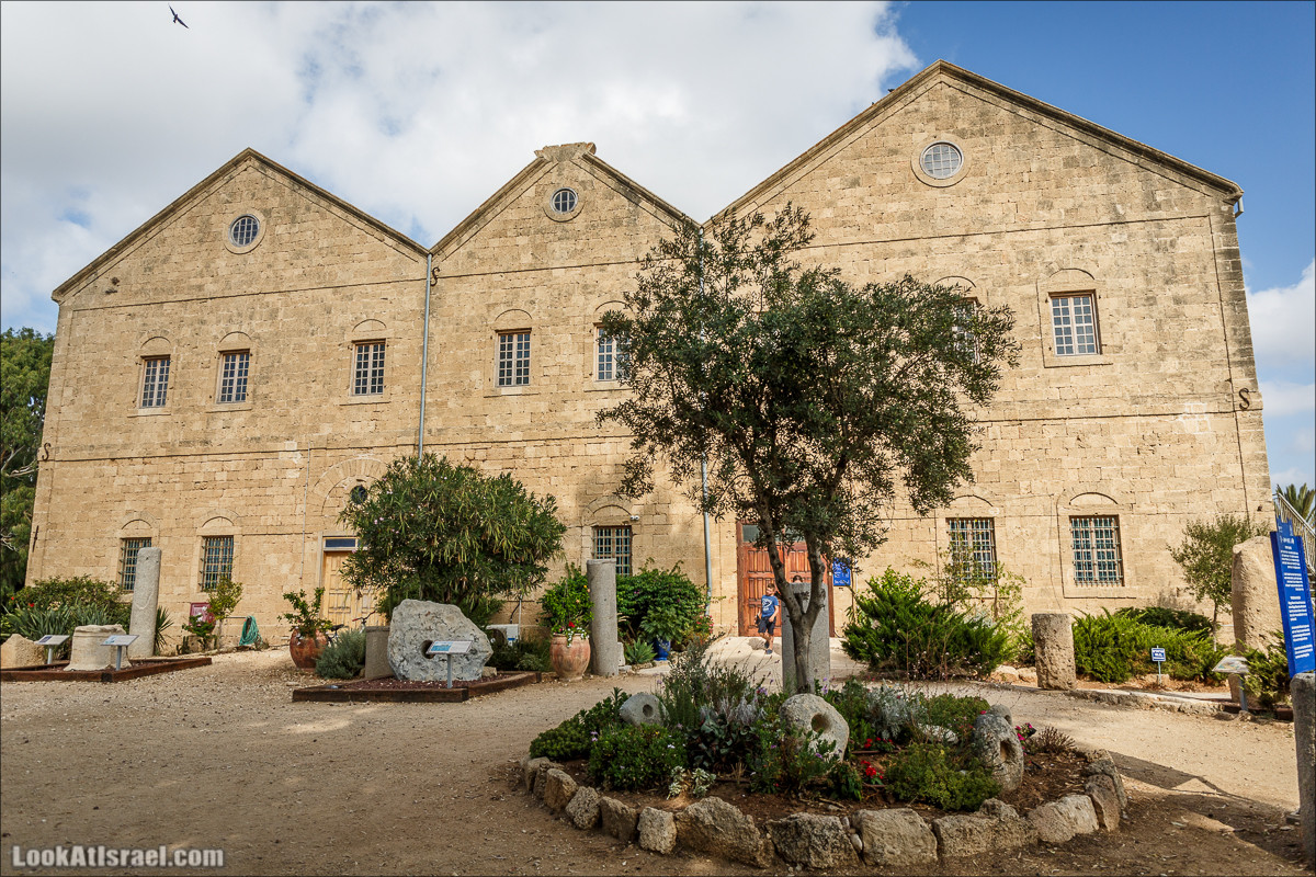 Побережье Дор а-Боним | Dor ha-Bonim Coast | חוף דור הבונים | LookAtIsrael.com - Фото путешествия по Израилю