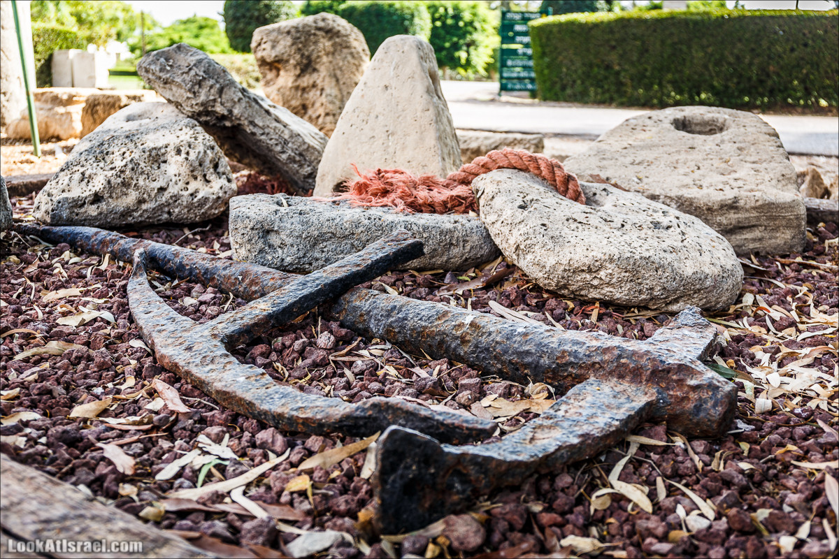 Побережье Дор а-Боним | Dor ha-Bonim Coast | חוף דור הבונים | LookAtIsrael.com - Фото путешествия по Израилю