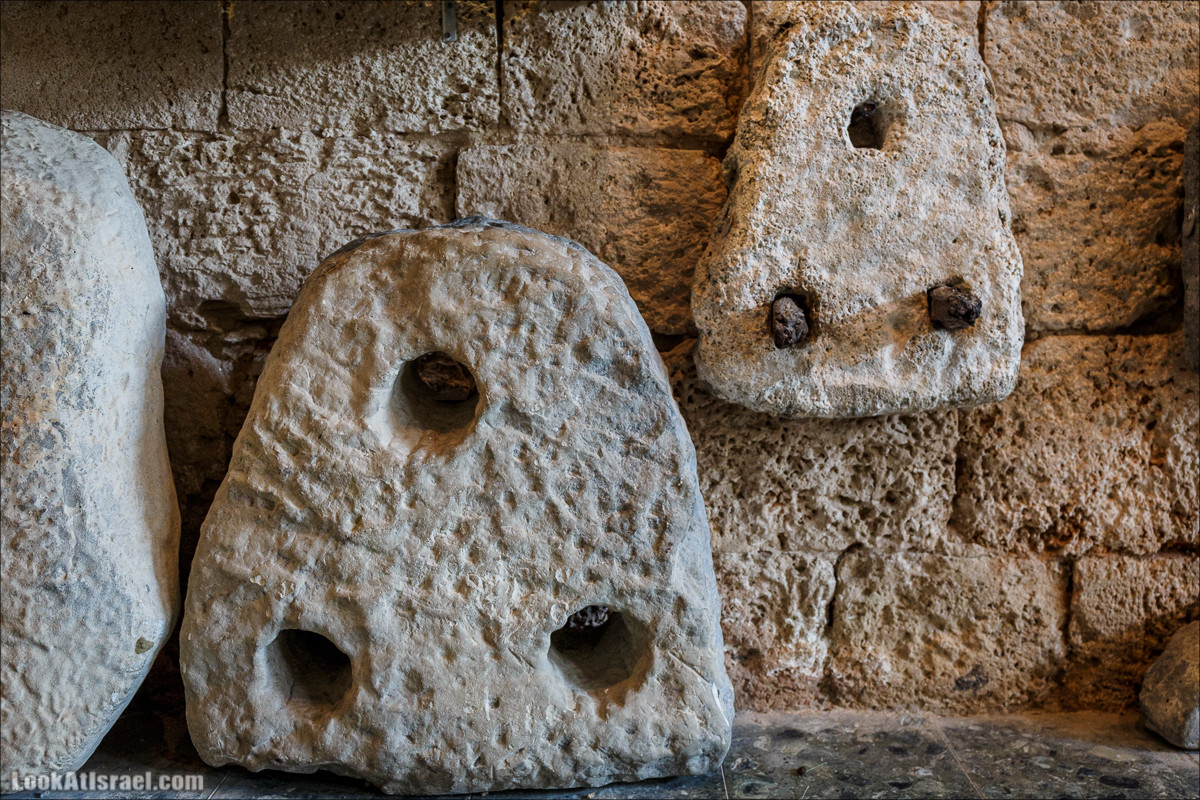 Побережье Дор а-Боним | Dor ha-Bonim Coast | חוף דור הבונים | LookAtIsrael.com - Фото путешествия по Израилю