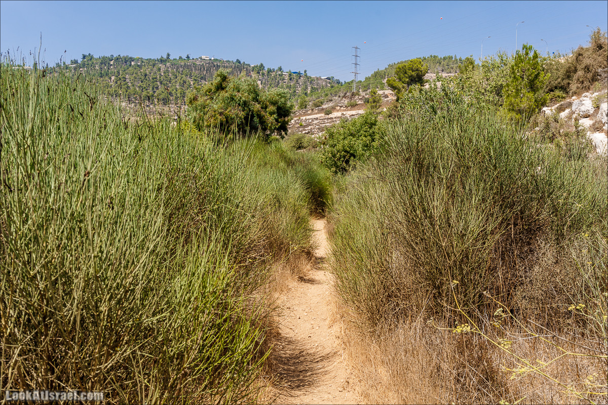 Прогулка по иерусалимским горам. От зоопарка до Моца | LookAtIsrael.com - Фото путешествия по Израилю