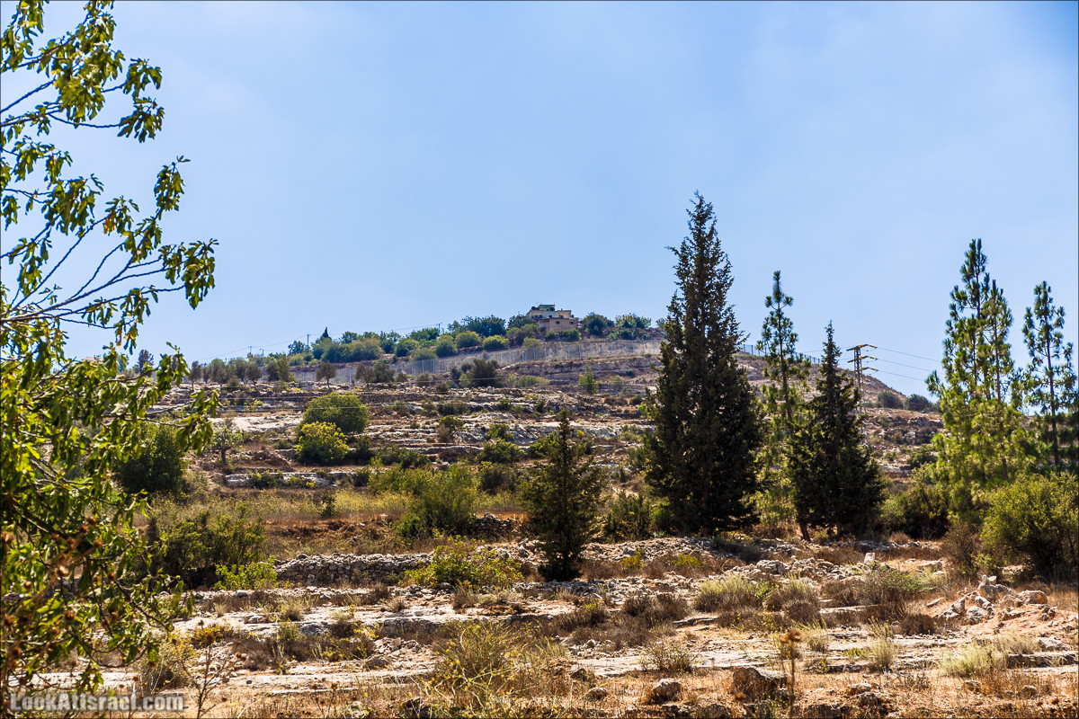 Прогулка по иерусалимским горам. От зоопарка до Моца | LookAtIsrael.com - Фото путешествия по Израилю