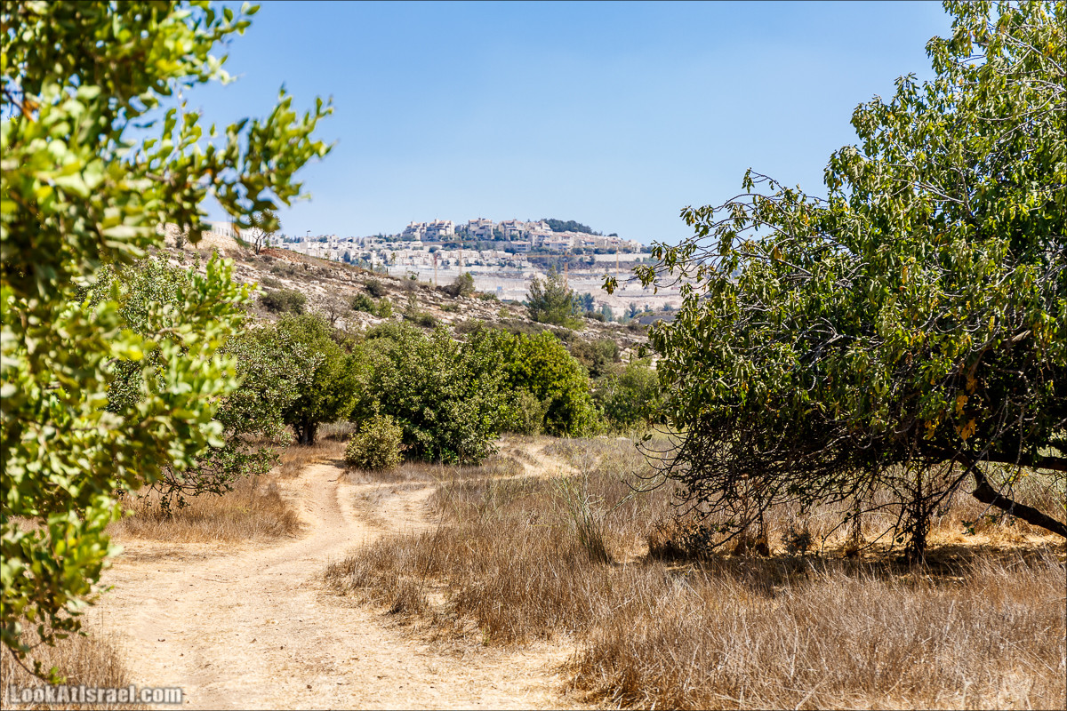 Прогулка по иерусалимским горам. От зоопарка до Моца | LookAtIsrael.com - Фото путешествия по Израилю
