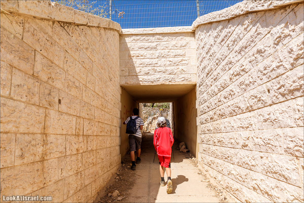 Прогулка по иерусалимским горам. От зоопарка до Моца | LookAtIsrael.com - Фото путешествия по Израилю