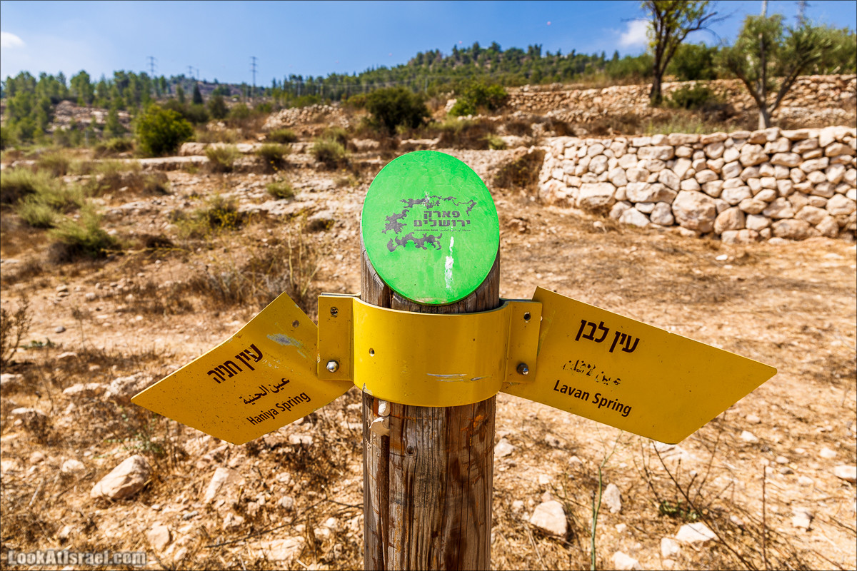 Прогулка по иерусалимским горам. От зоопарка до Моца | LookAtIsrael.com - Фото путешествия по Израилю