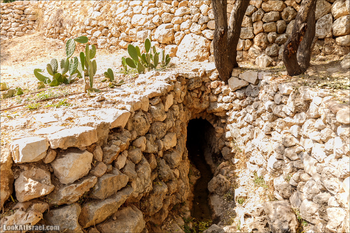 Прогулка по иерусалимским горам. От зоопарка до Моца | LookAtIsrael.com - Фото путешествия по Израилю