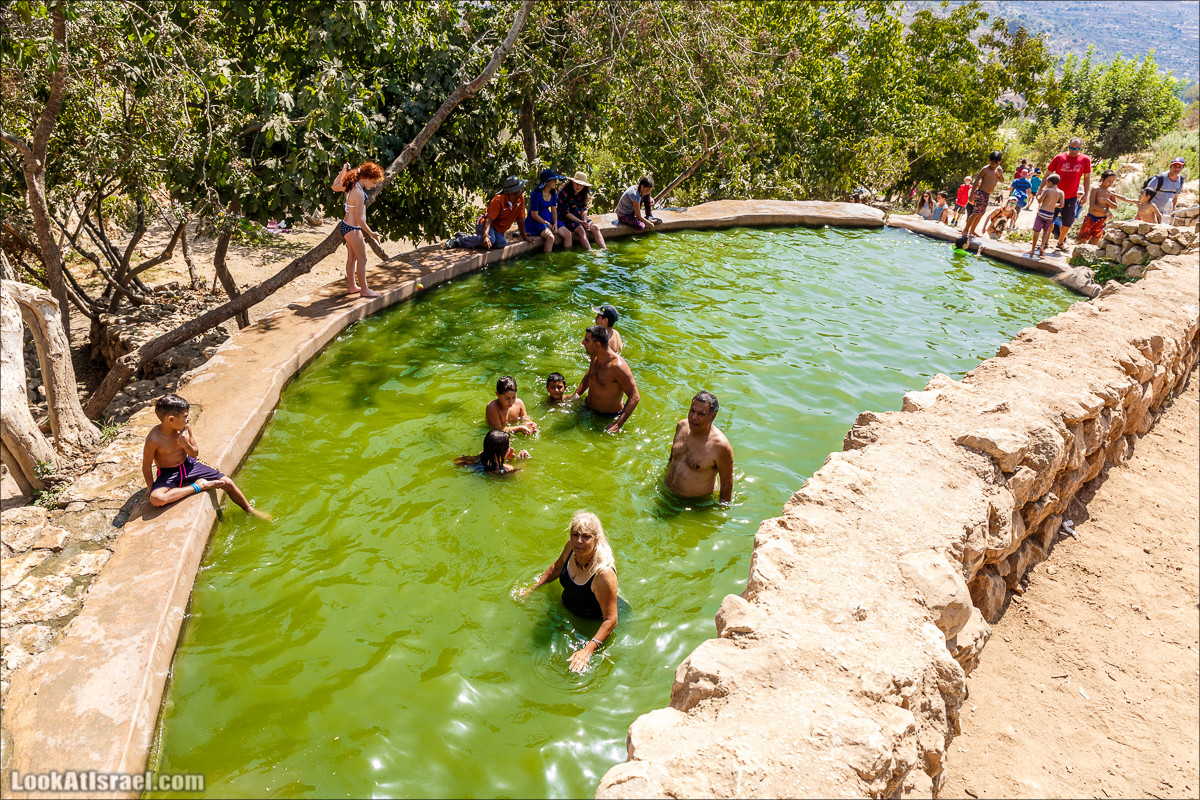 Прогулка по иерусалимским горам. От зоопарка до Моца | LookAtIsrael.com - Фото путешествия по Израилю