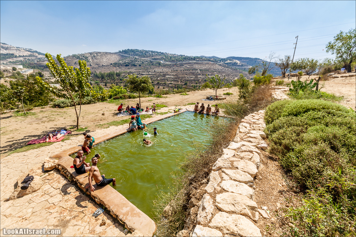 Прогулка по иерусалимским горам. От зоопарка до Моца | LookAtIsrael.com - Фото путешествия по Израилю