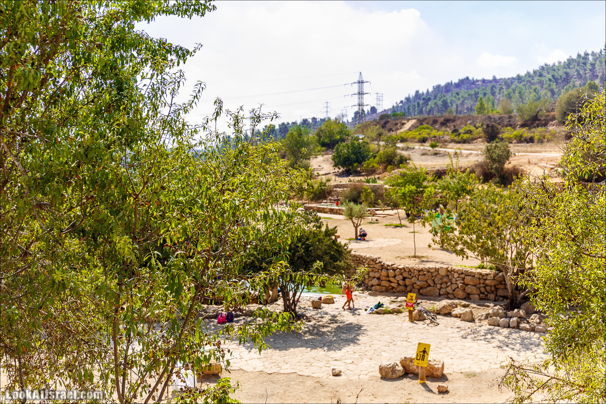 Прогулка по иерусалимским горам. От зоопарка до Моца | LookAtIsrael.com - Фото путешествия по Израилю