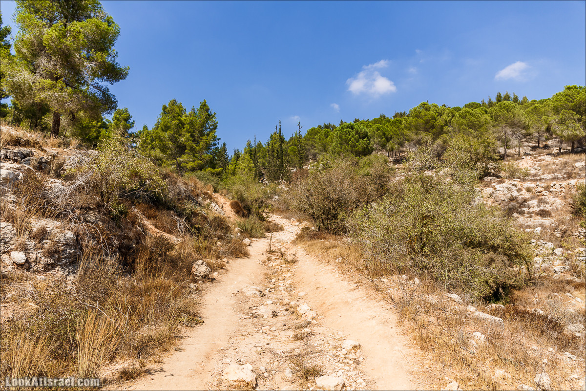 Прогулка по иерусалимским горам. От зоопарка до Моца | LookAtIsrael.com - Фото путешествия по Израилю