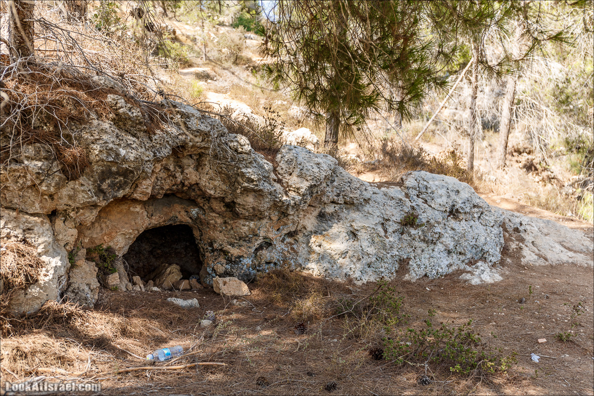 Прогулка по иерусалимским горам. От зоопарка до Моца | LookAtIsrael.com - Фото путешествия по Израилю