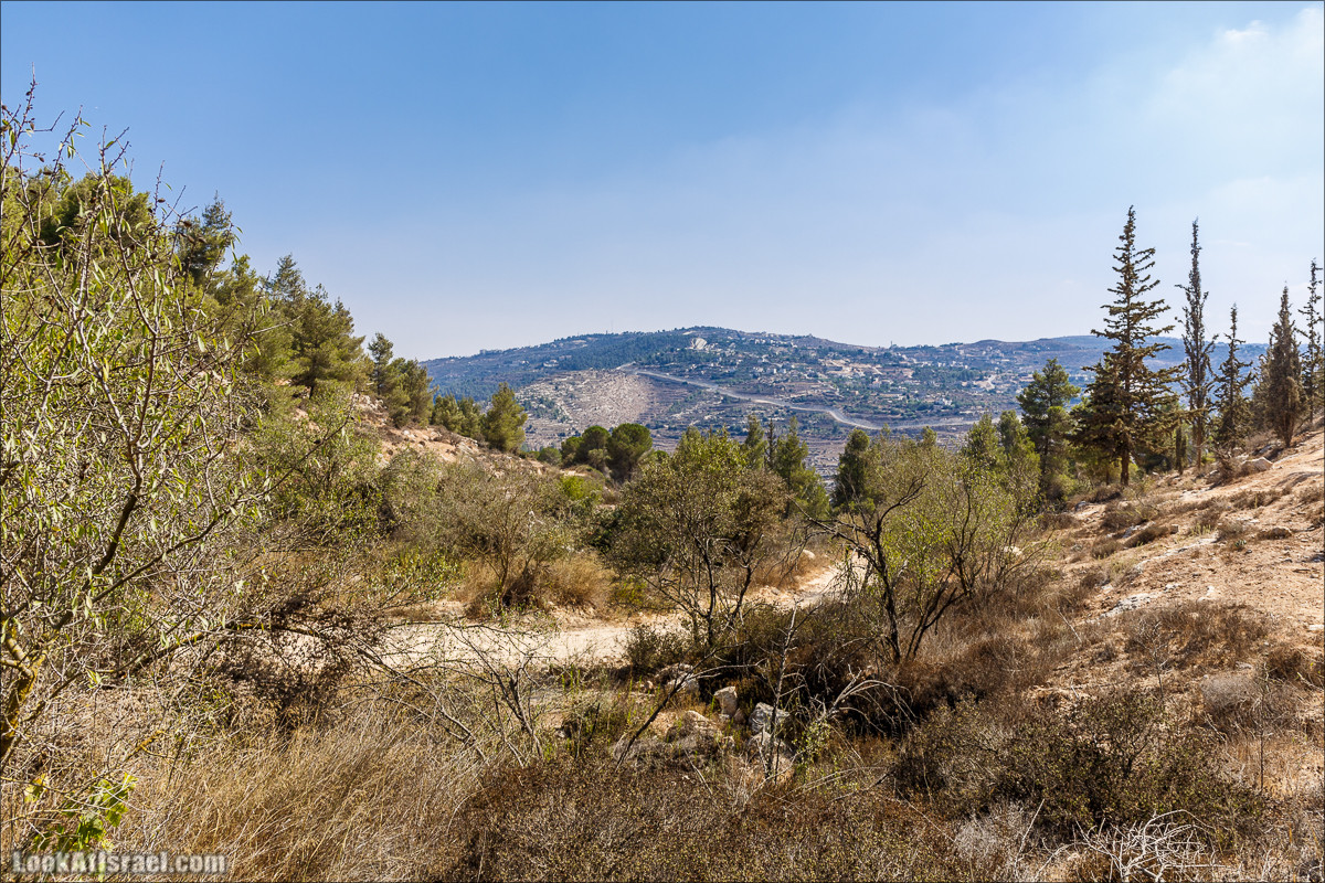Прогулка по иерусалимским горам. От зоопарка до Моца | LookAtIsrael.com - Фото путешествия по Израилю