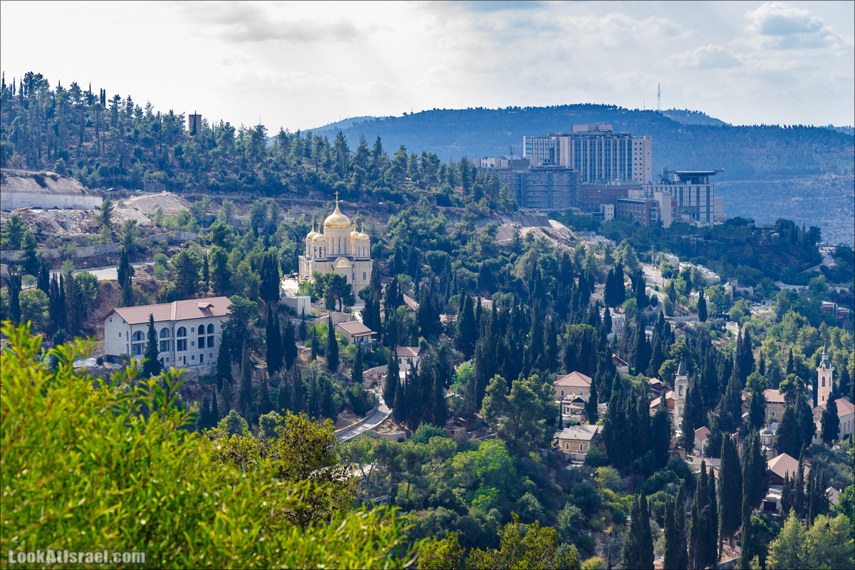 Прогулка по иерусалимским горам. От зоопарка до Моца | LookAtIsrael.com - Фото путешествия по Израилю