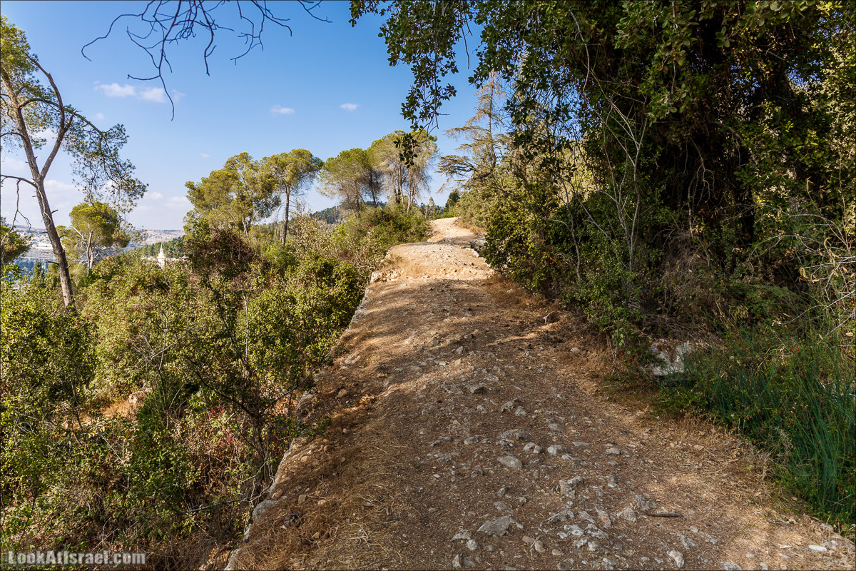 Прогулка по иерусалимским горам. От зоопарка до Моца | LookAtIsrael.com - Фото путешествия по Израилю