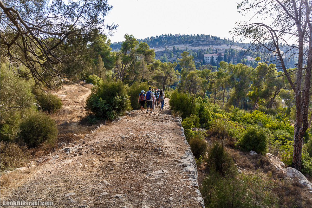 Прогулка по иерусалимским горам. От зоопарка до Моца | LookAtIsrael.com - Фото путешествия по Израилю
