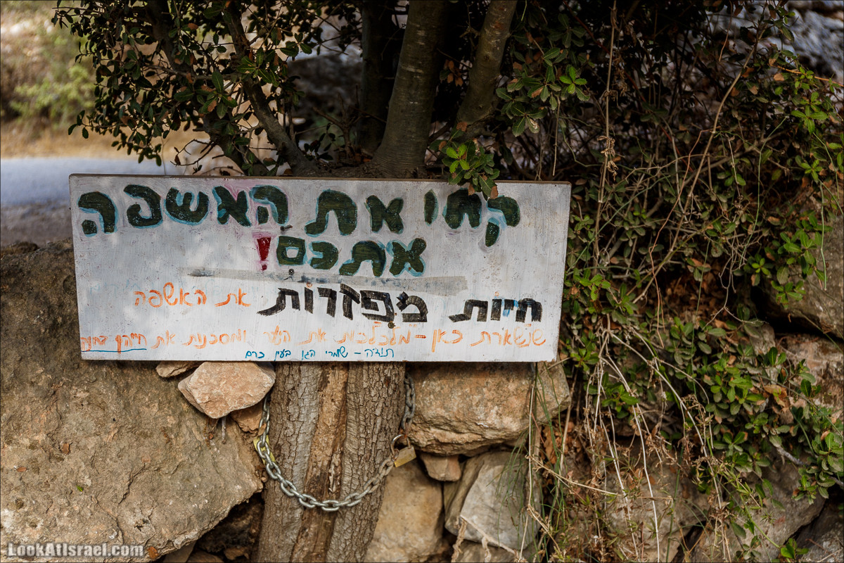 Прогулка по иерусалимским горам. От зоопарка до Моца | LookAtIsrael.com - Фото путешествия по Израилю