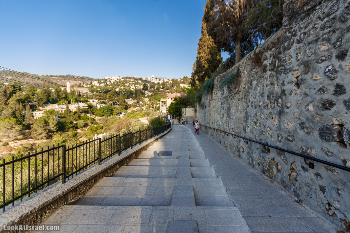 Прогулка по иерусалимским горам. От зоопарка до Моца | LookAtIsrael.com - Фото путешествия по Израилю