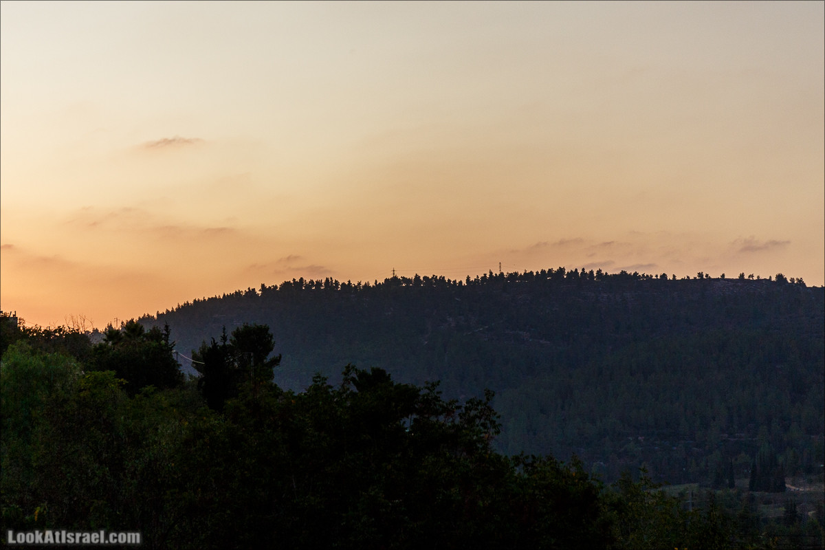Прогулка по иерусалимским горам. От зоопарка до Моца | LookAtIsrael.com - Фото путешествия по Израилю