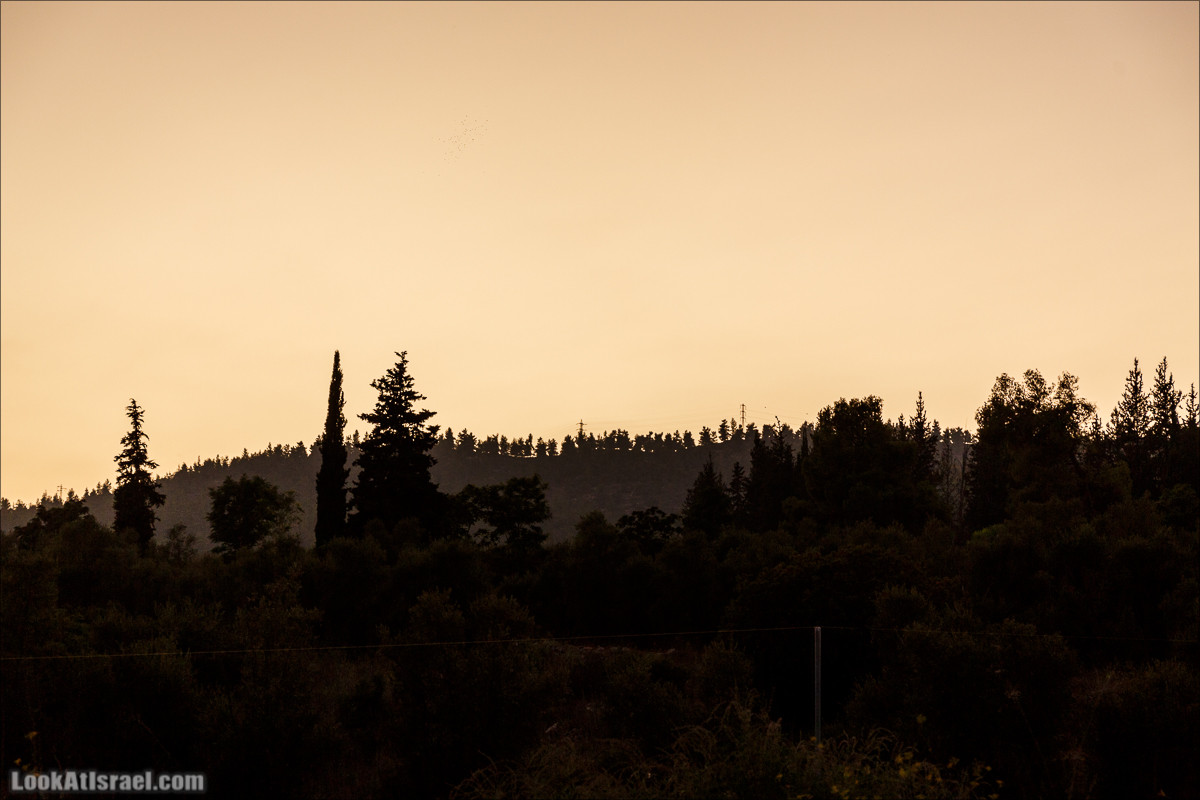 Прогулка по иерусалимским горам. От зоопарка до Моца | LookAtIsrael.com - Фото путешествия по Израилю