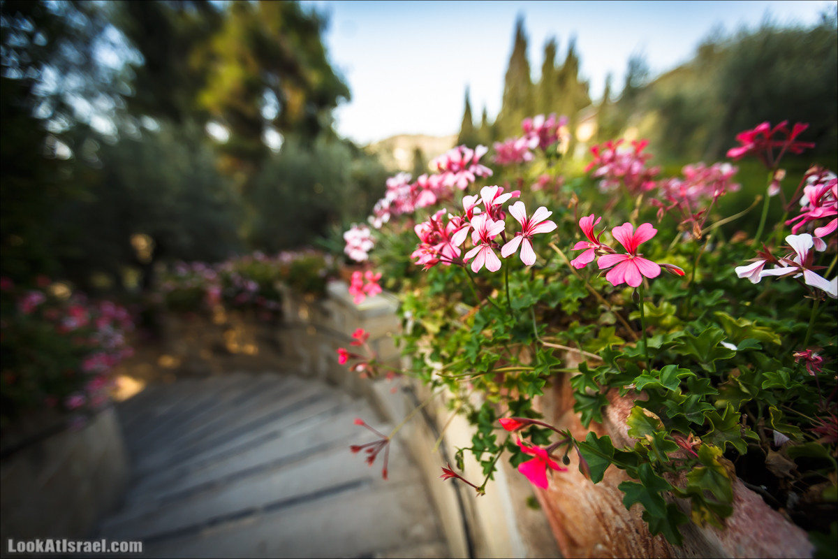 Церковь Посещения Магнификат в Эйн Карем, Иерусалим | Church of Visitation Magnificat, Ein Karem, Jerusalem | LookAtIsrael.com - Фото путешествия по Израилю