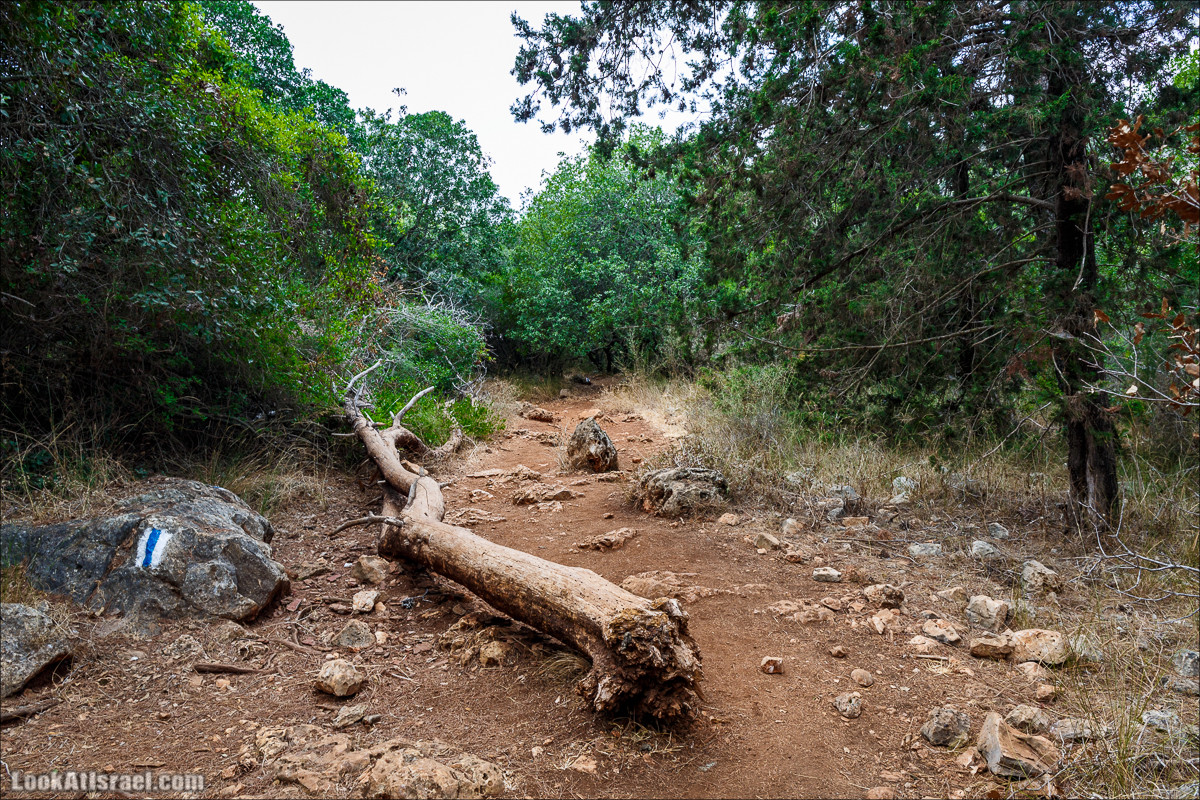 Нахаль Бецет и нахаль Верах | LookAtIsrael.com - Фото путешествия по Израилю
