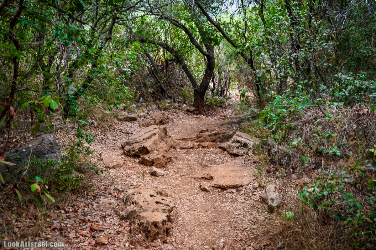 Нахаль Бецет и нахаль Верах | LookAtIsrael.com - Фото путешествия по Израилю