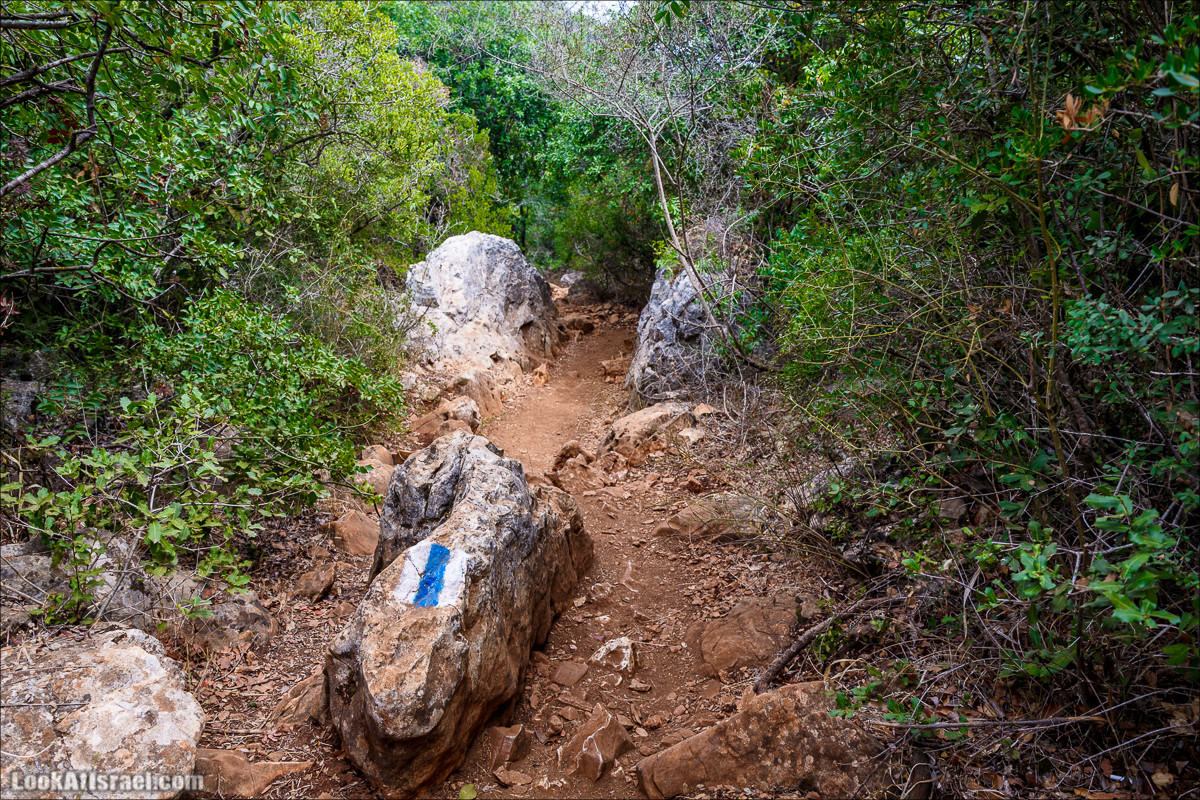 Нахаль Бецет и нахаль Верах | LookAtIsrael.com - Фото путешествия по Израилю