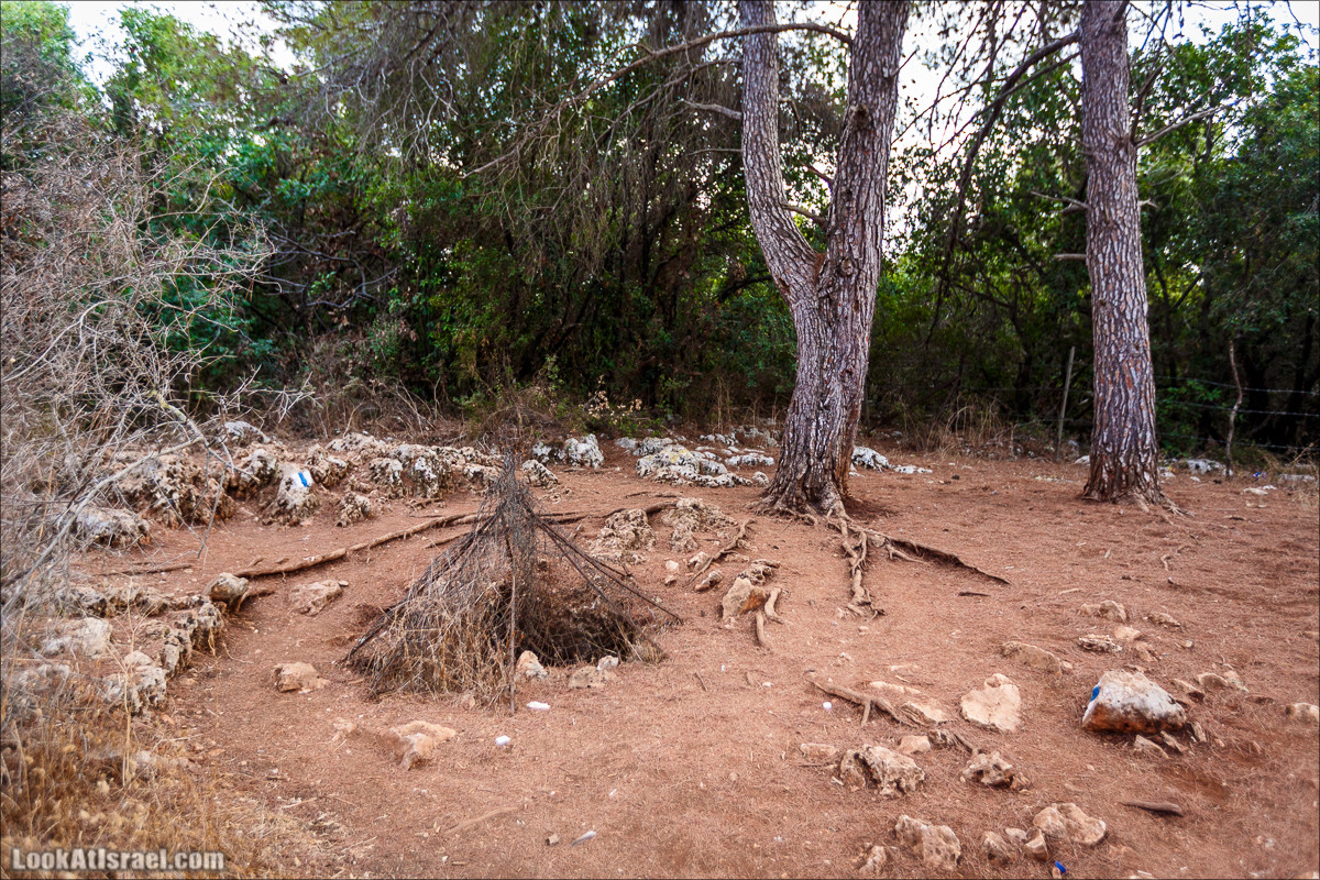 Нахаль Бецет и нахаль Верах | LookAtIsrael.com - Фото путешествия по Израилю