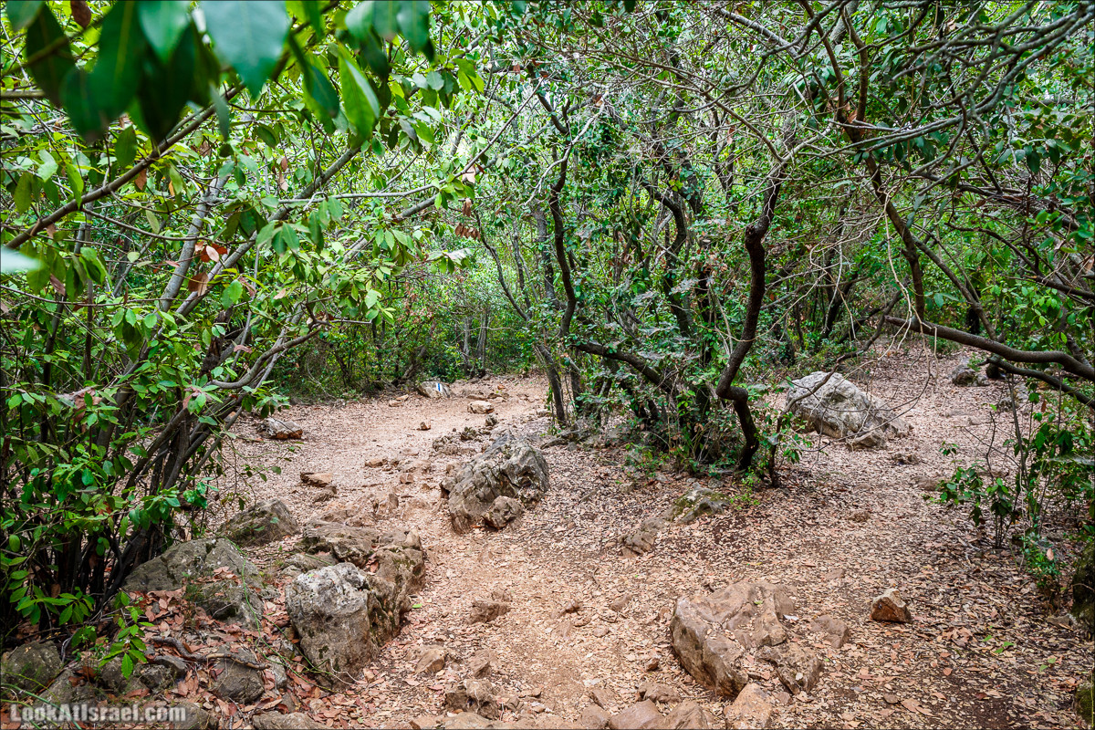 Нахаль Бецет и нахаль Верах | LookAtIsrael.com - Фото путешествия по Израилю