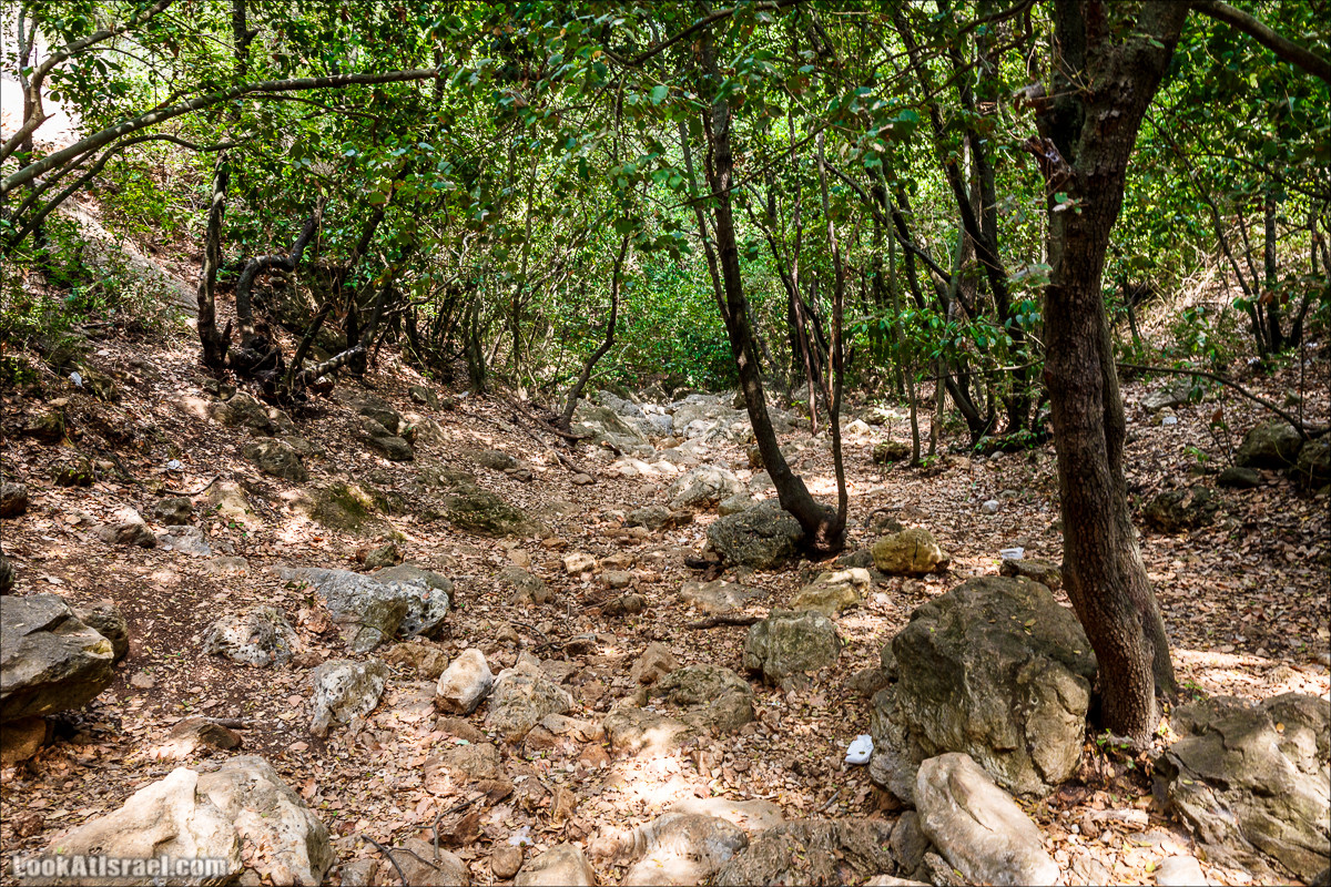 Нахаль Бецет и нахаль Верах | LookAtIsrael.com - Фото путешествия по Израилю