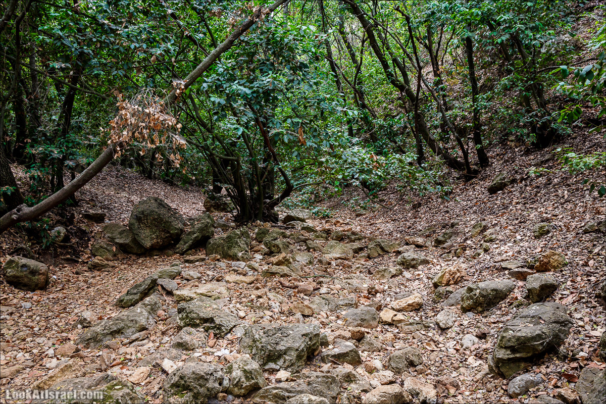 Нахаль Бецет и нахаль Верах | LookAtIsrael.com - Фото путешествия по Израилю
